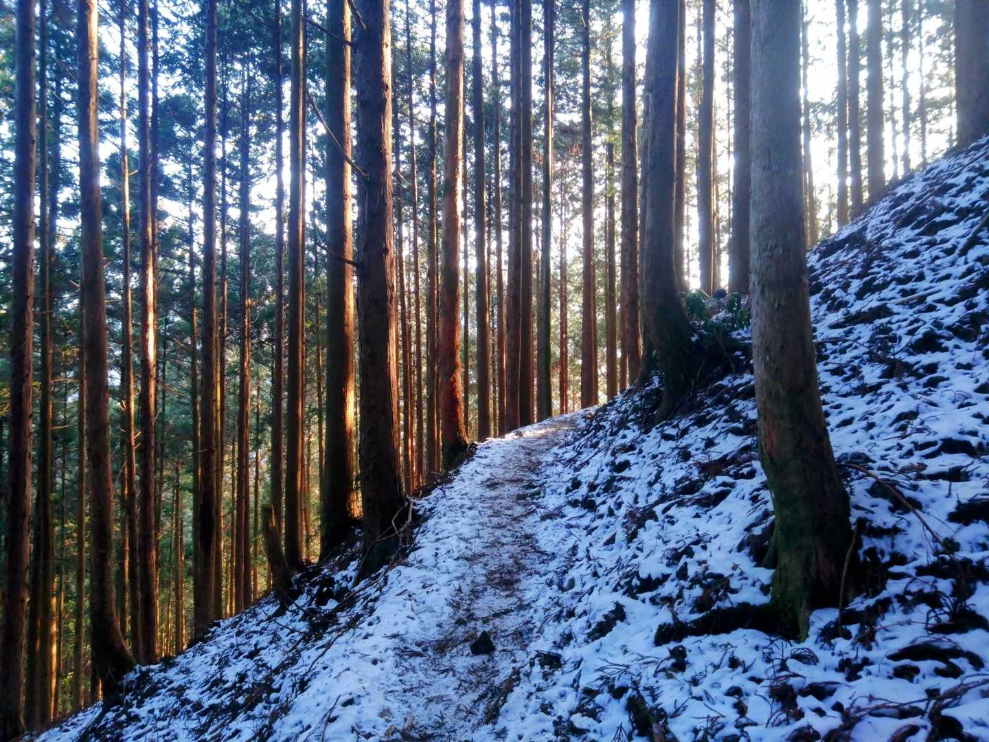 チェンスパ付けて登る🚶