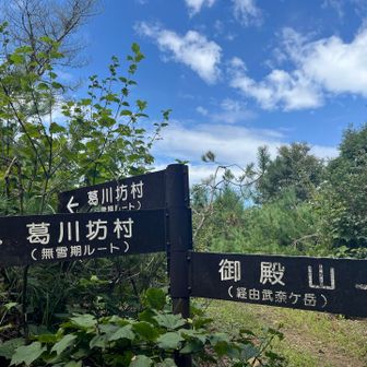 待望の青空出てきた🙌