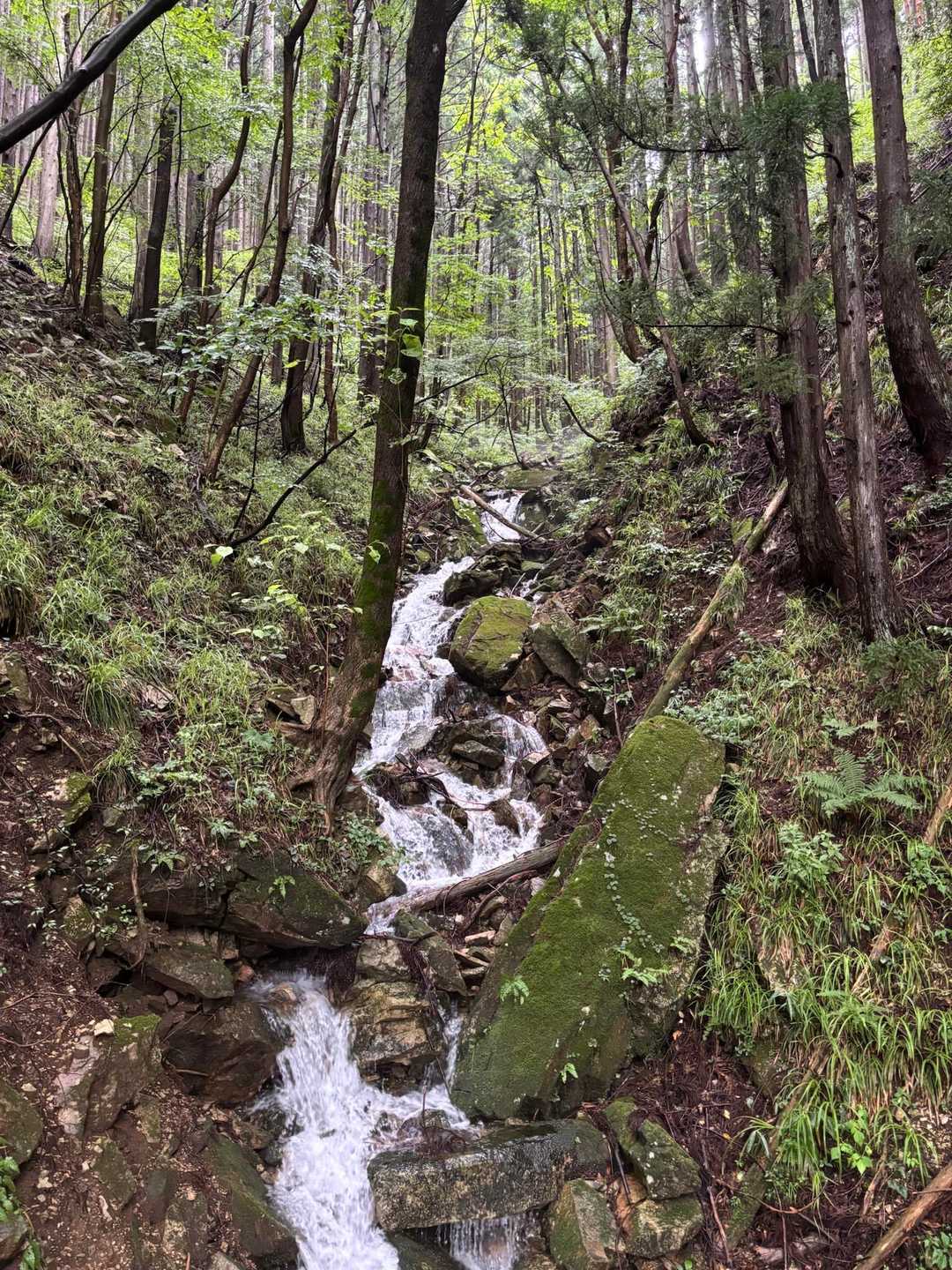 寂地峡入口-みのこし峠-寂地山-犬戻歩道入口 周回コースの写真