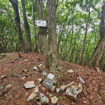 榊山山頂（1,257m）
特に眺望なし
冬なら枝の間から何か見えるのかな…🙄