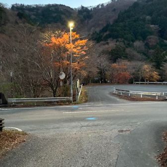 本日の最終地点まで、ヘッドライト使用する事なく無事下山