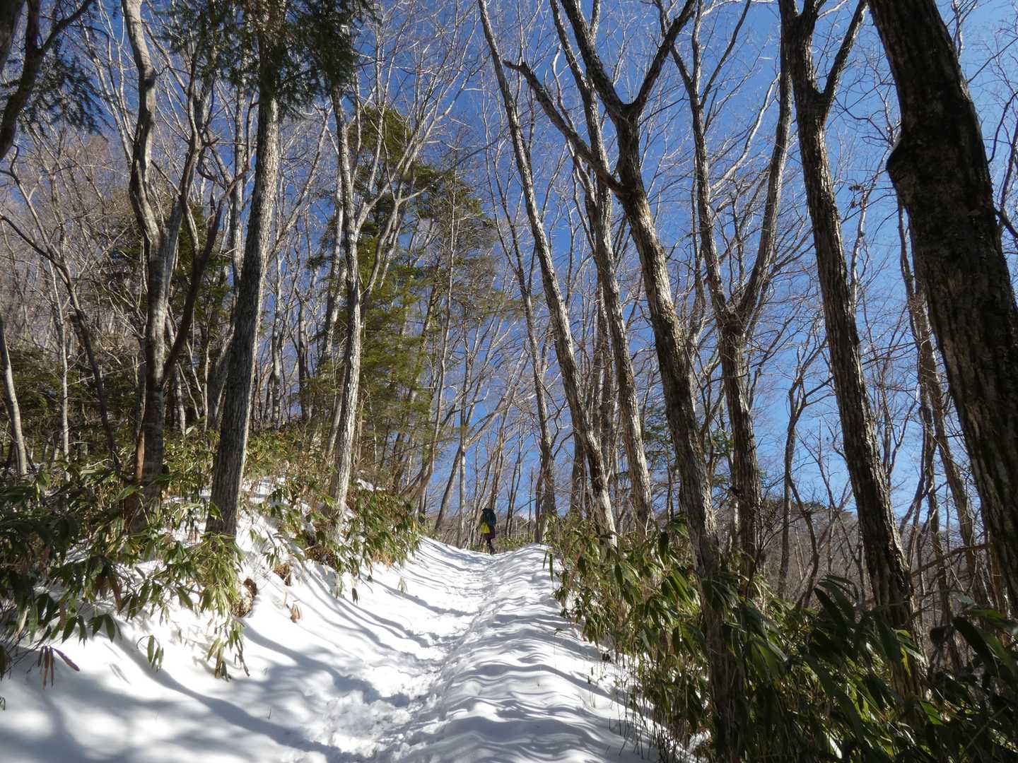 雪道をひたすら歩きます🚶‍♀
途中からチェンスパ⛓装着＆😎
メガネ酔いするのでいつもは🕶をかけないけれど、さすがに今日の雪山ピーカン☀☀の下では着用しないと大変なことに😫