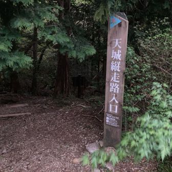 4時間程度で周回できそうなものの、まだ薄暗い5時前に出発。
なんせGW最終日の高速を神戸まで走らんといかんから。