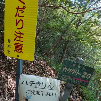 ここらへんは険しくで崖も近く、注意喚起の看板がいくつかありました。