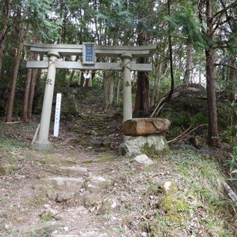 無事下山　本日の靴慣らし終了