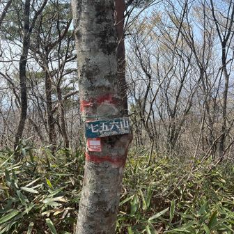 756mだから七五六山って安直な……