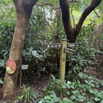 そして畠山へ