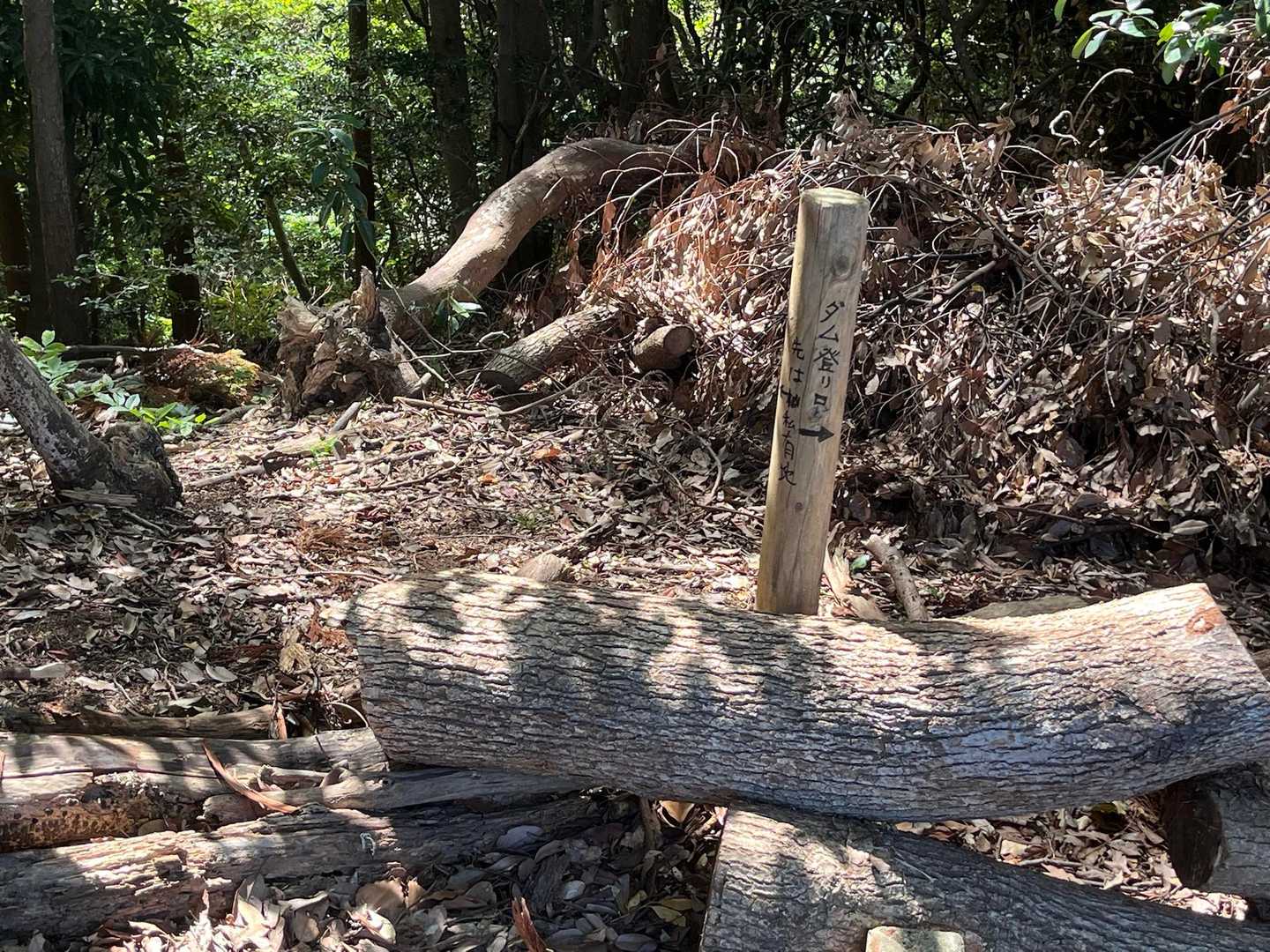 蛍山は私有地らしい