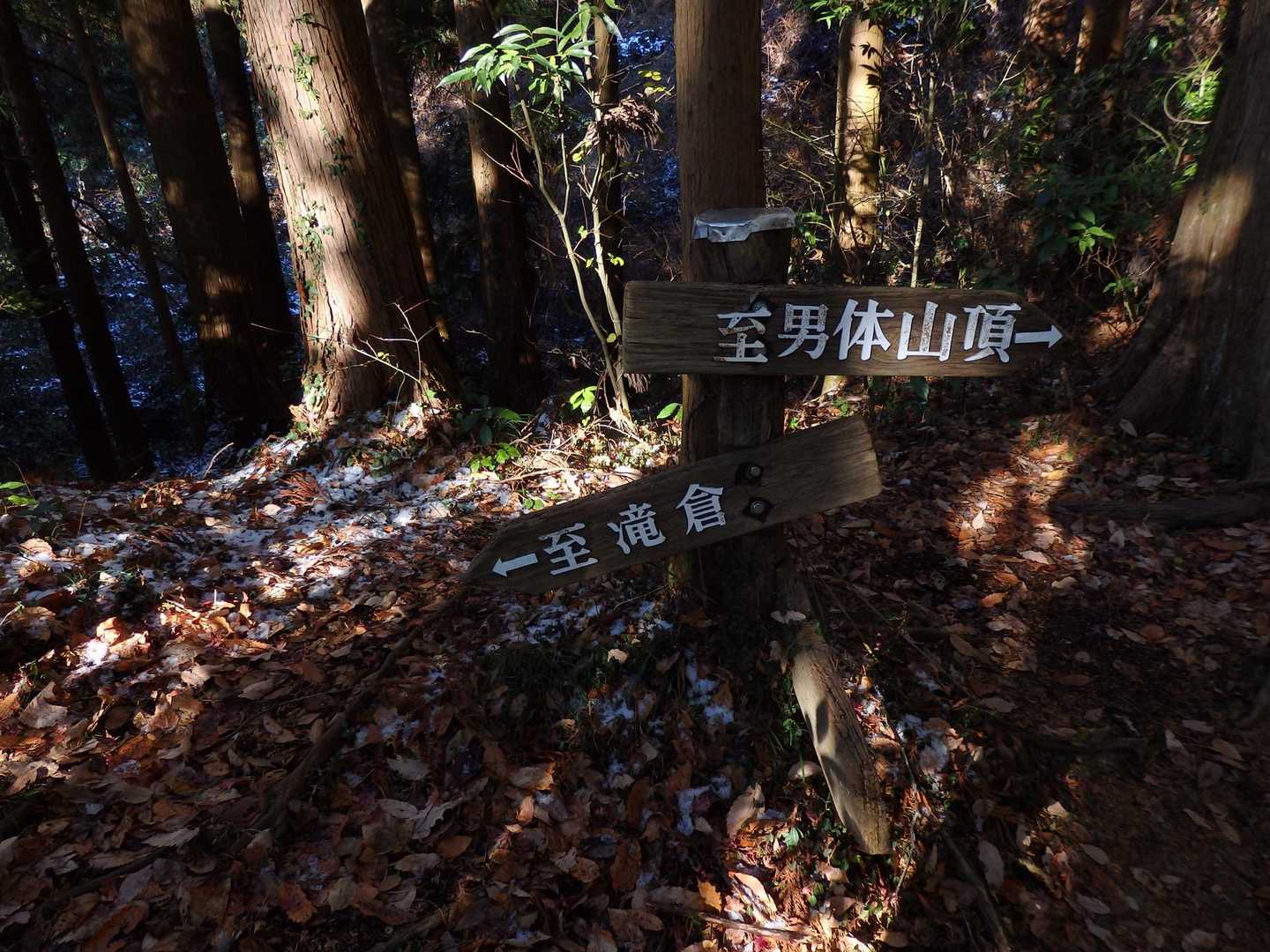 大円地口からの登山道に合流