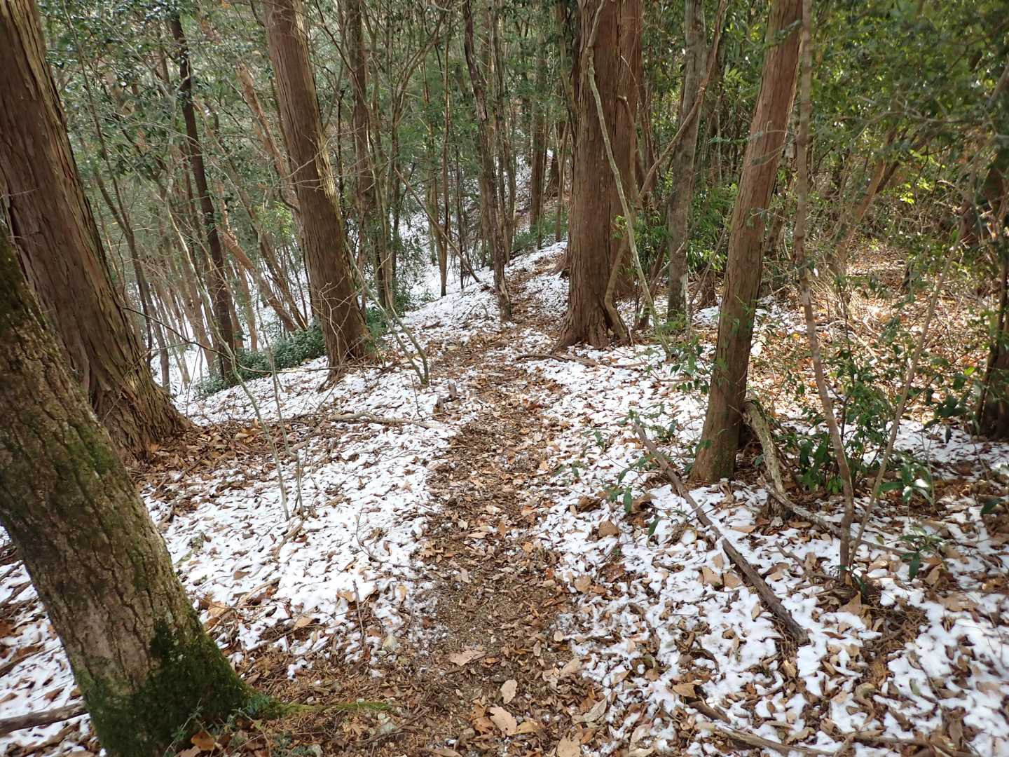 北谷コース登山口-鷹羽ヶ森-弘瀬登山口 周回コースの写真