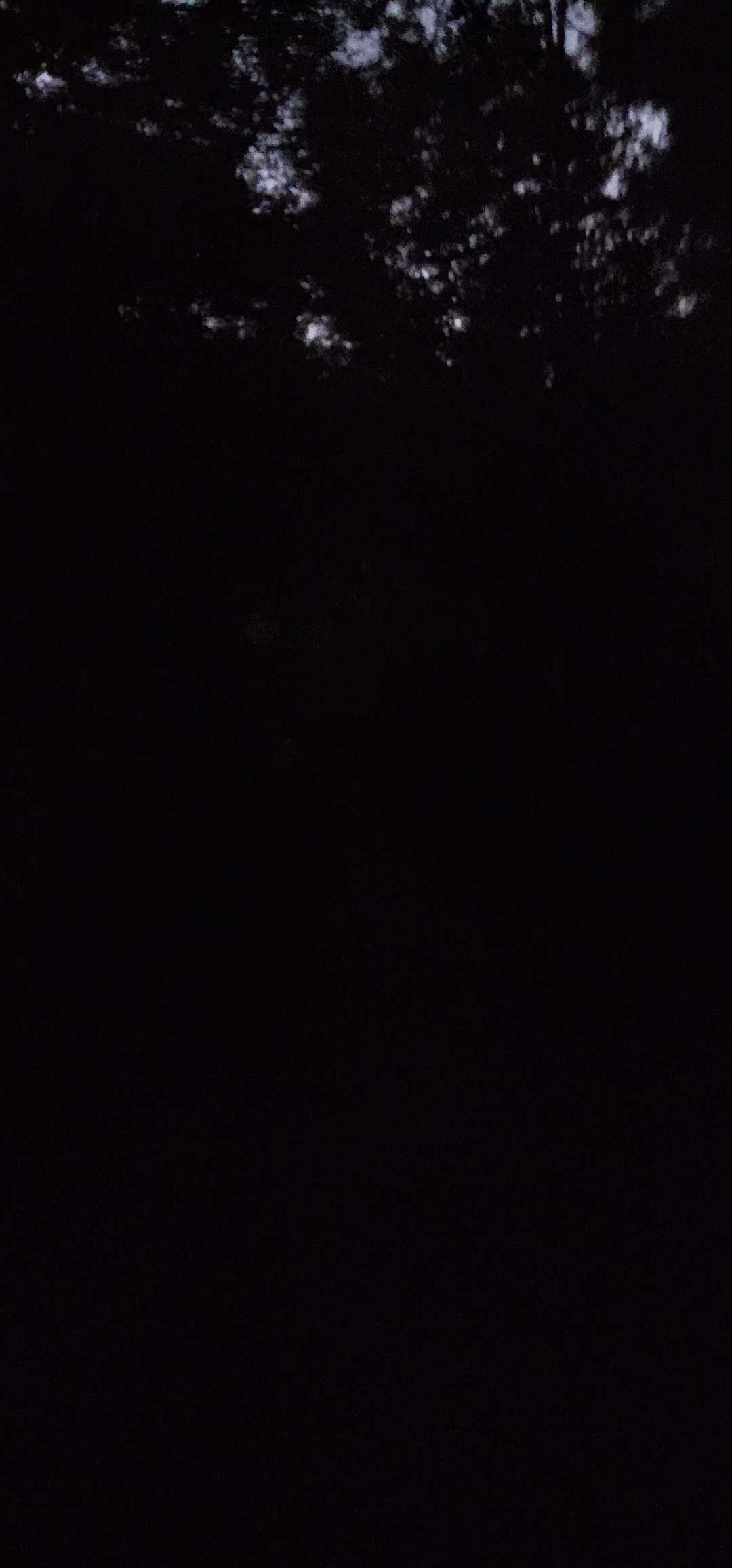 もうここからは闇
そして霧がでで少し見にくい