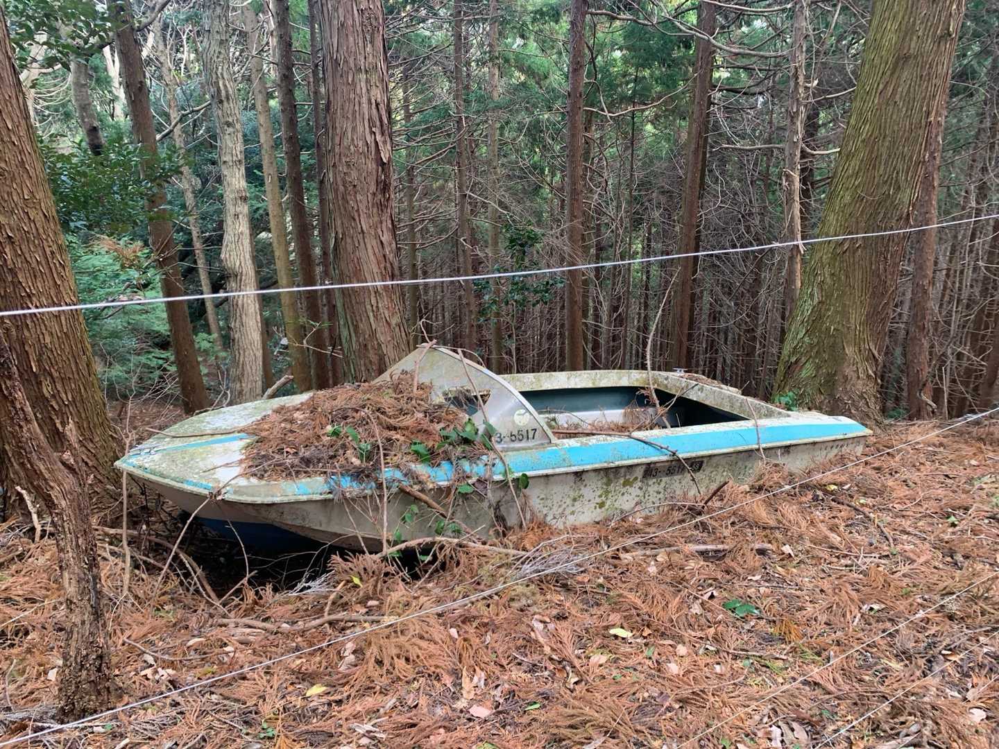 🚣
