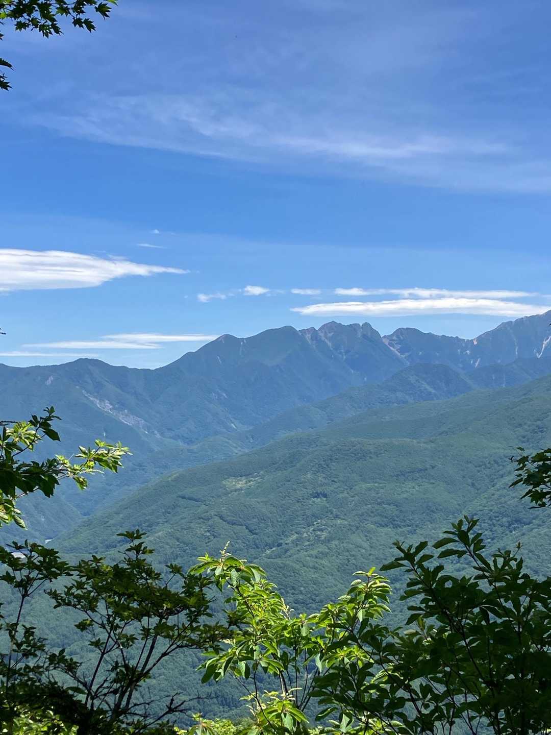 市野瀬登山口-戸倉山 往復コースの写真