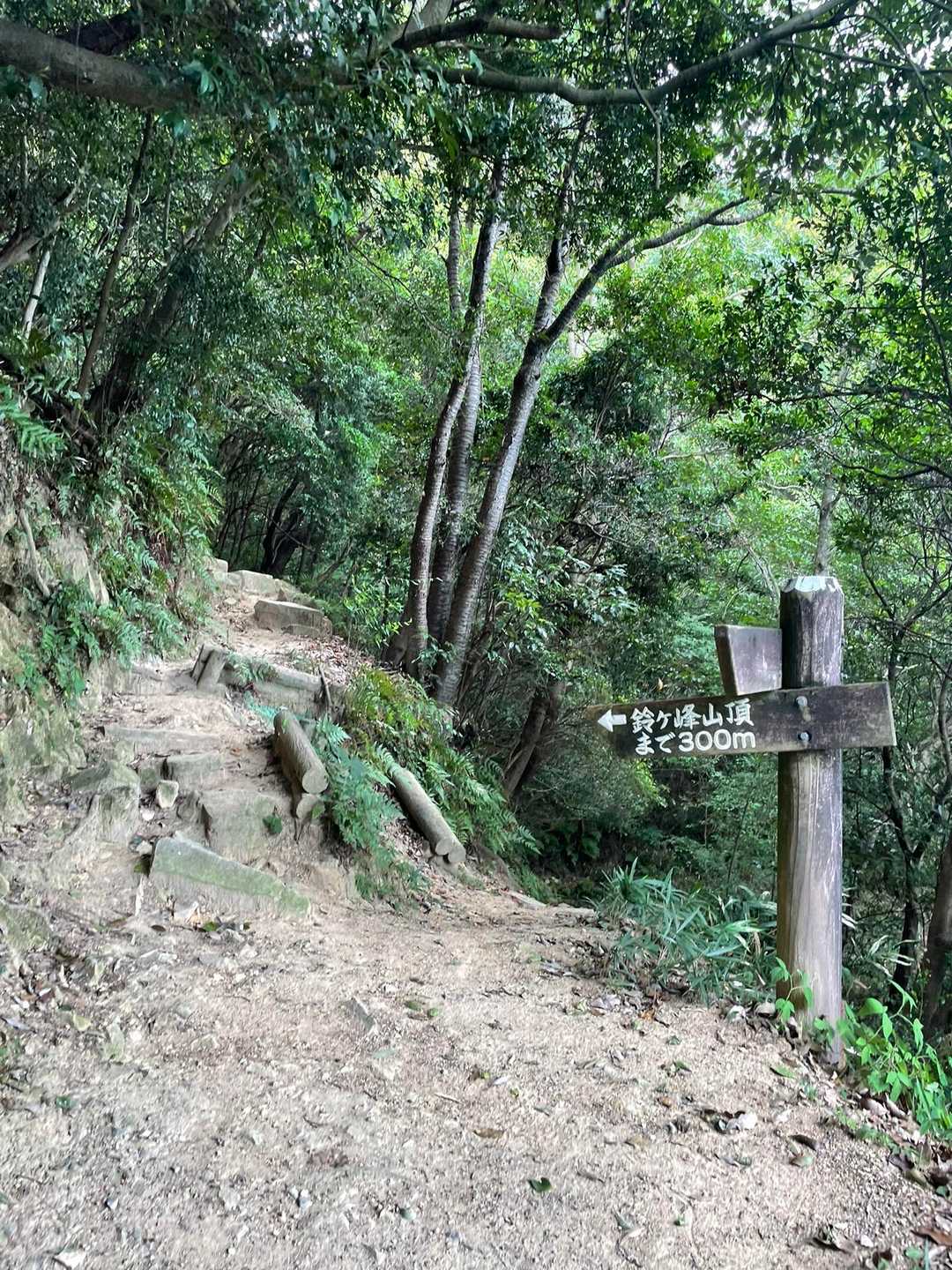 憩いの森入口-鈴ヶ峰 往復コースの写真