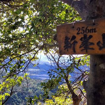 またまたゲット