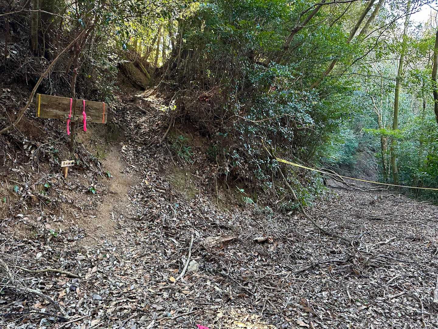 約90分歩いて、やっと登山口です💦