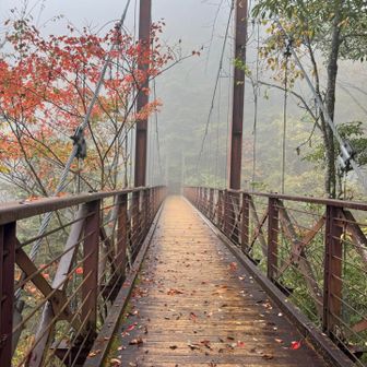 滝見橋