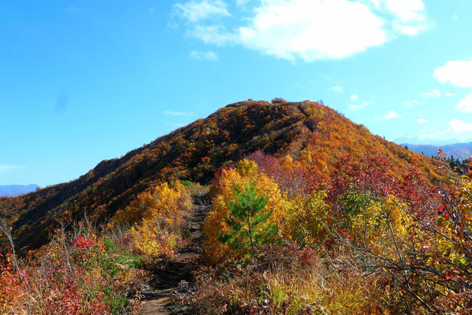 鳴倉山振り返り