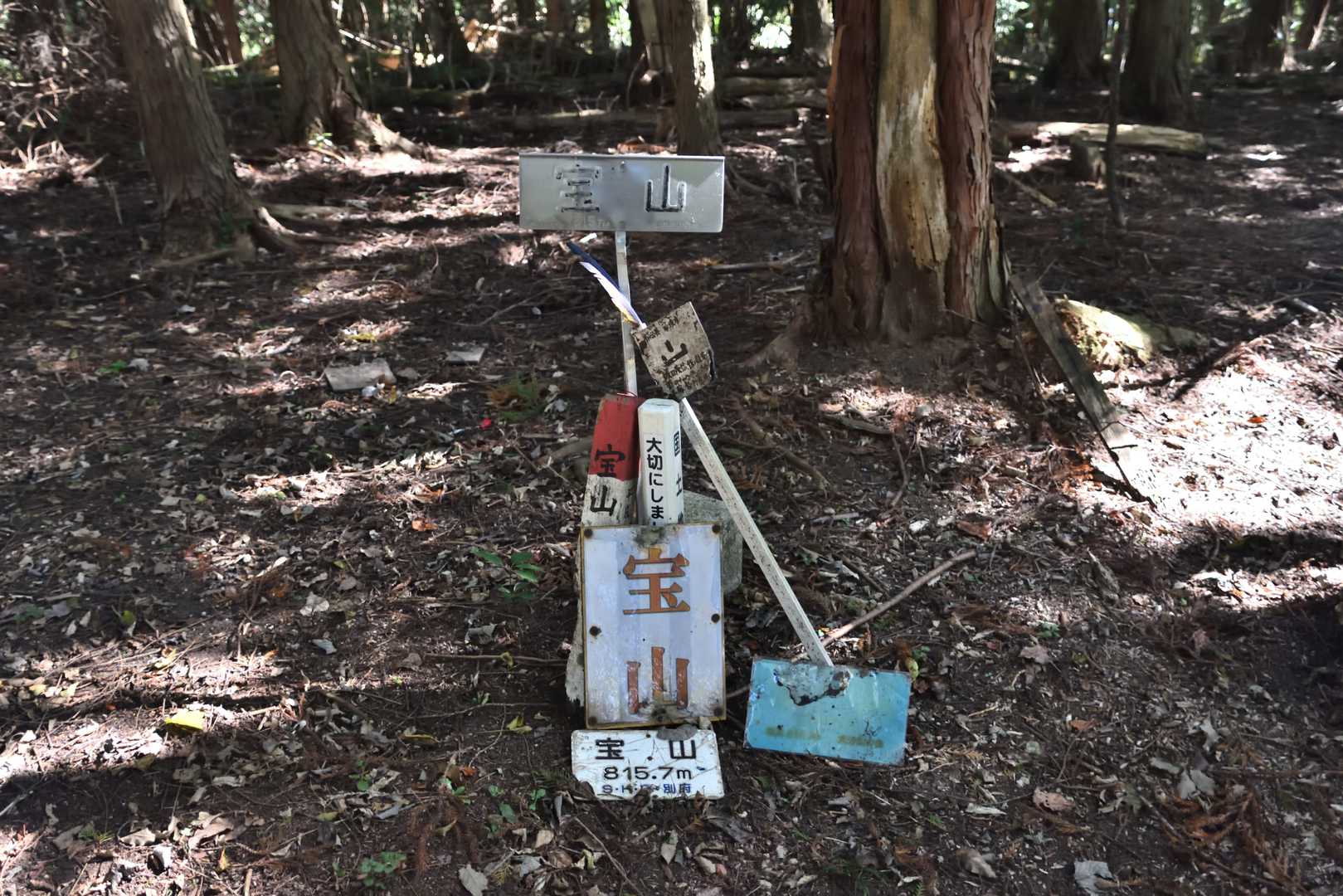 主張が激しく賑やかな宝山山頂
眺望なし