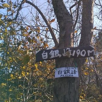 山頂ー😆迷ったわりには呆気なく到着とは(笑)しかし…ピストンしたくない案件😓