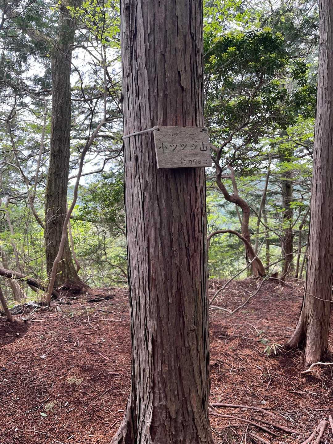 小ツツジ山

ここまでにクマのフン見つけすぎて😑

人がいなーい（ ;  ; ）