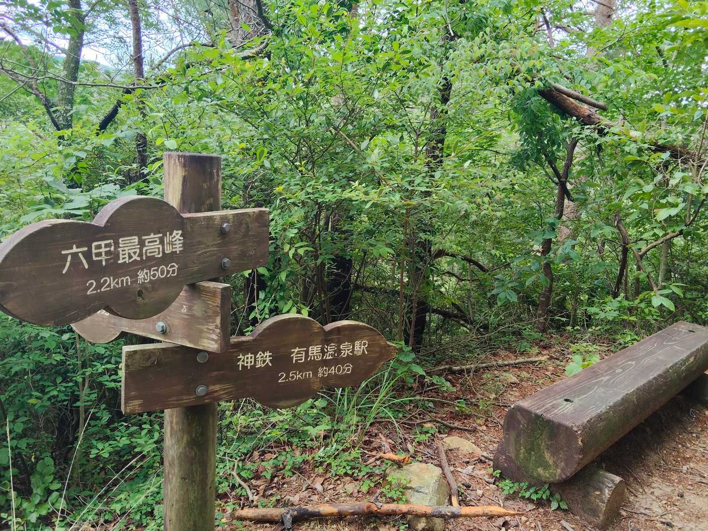 山頂まで半分くらい　今の所誰一人と会ってません