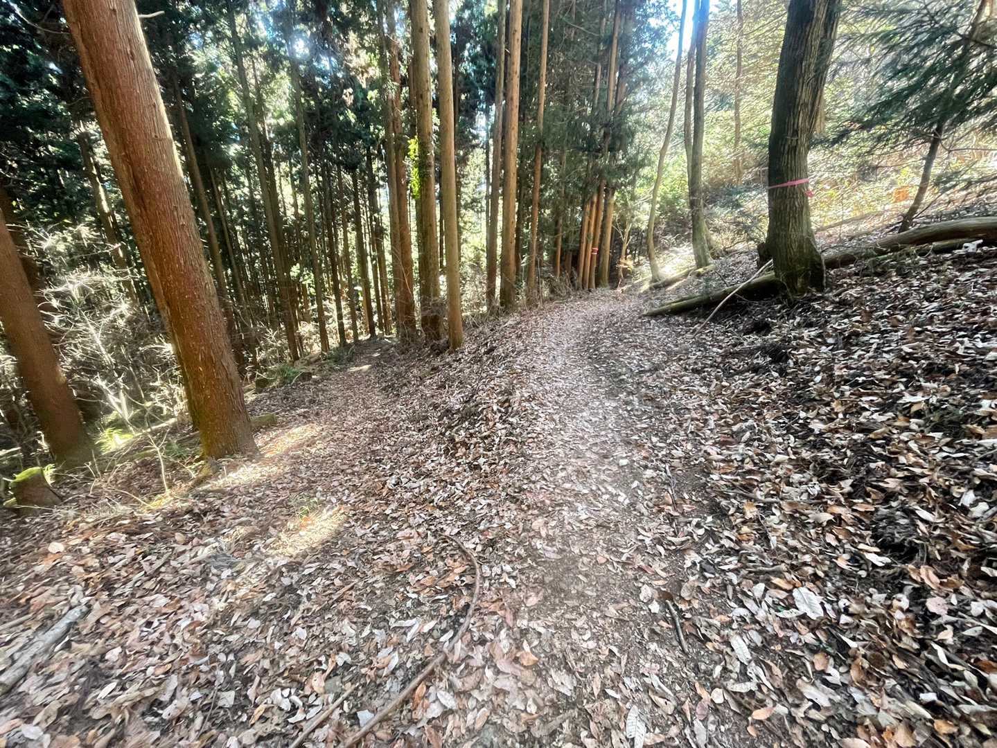 まだまだ下りますよー😃