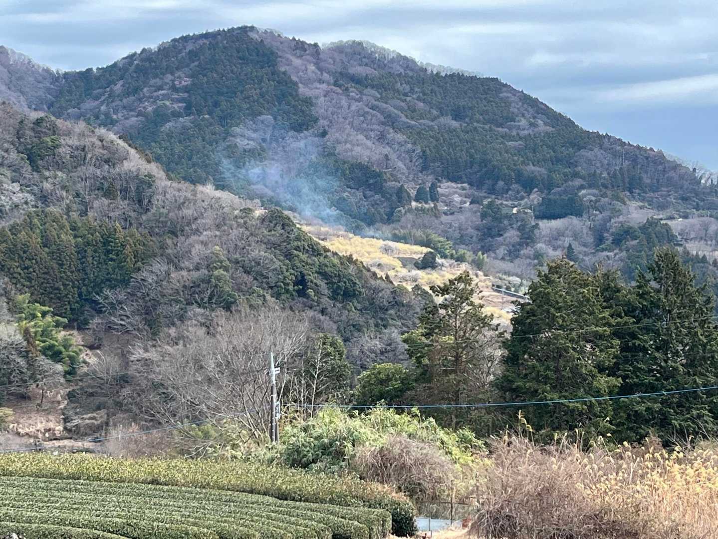 見上げると斜面が黄色い所が見える✨✨✨