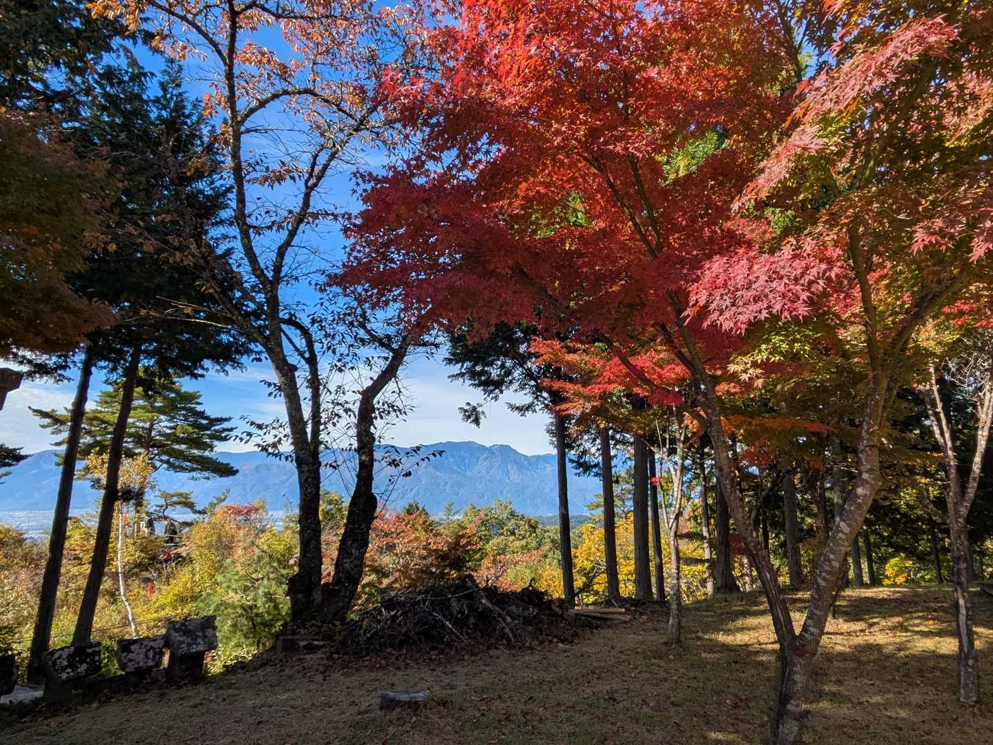 ロープウェイ駅周辺は🍁
観光客がすごかった😳