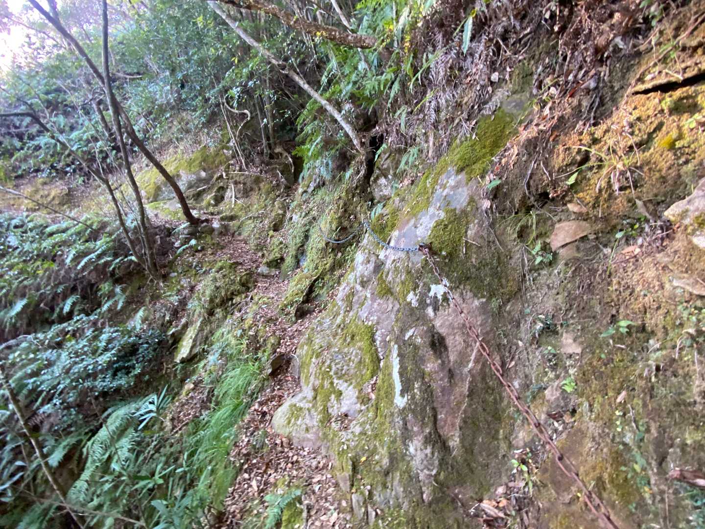 嶽ノ森山登り口-嶽ノ森山-嶽ノ森山登り口 縦走コースの写真