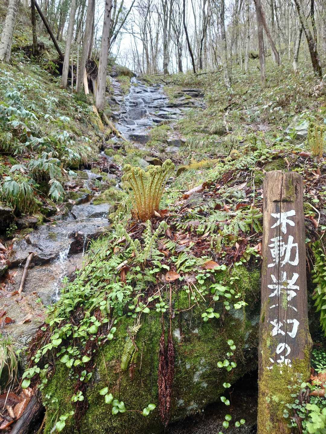 まぼろし〜
ではなかったです、滝見れました