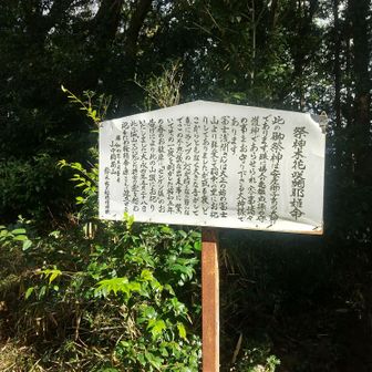 神社もあります。