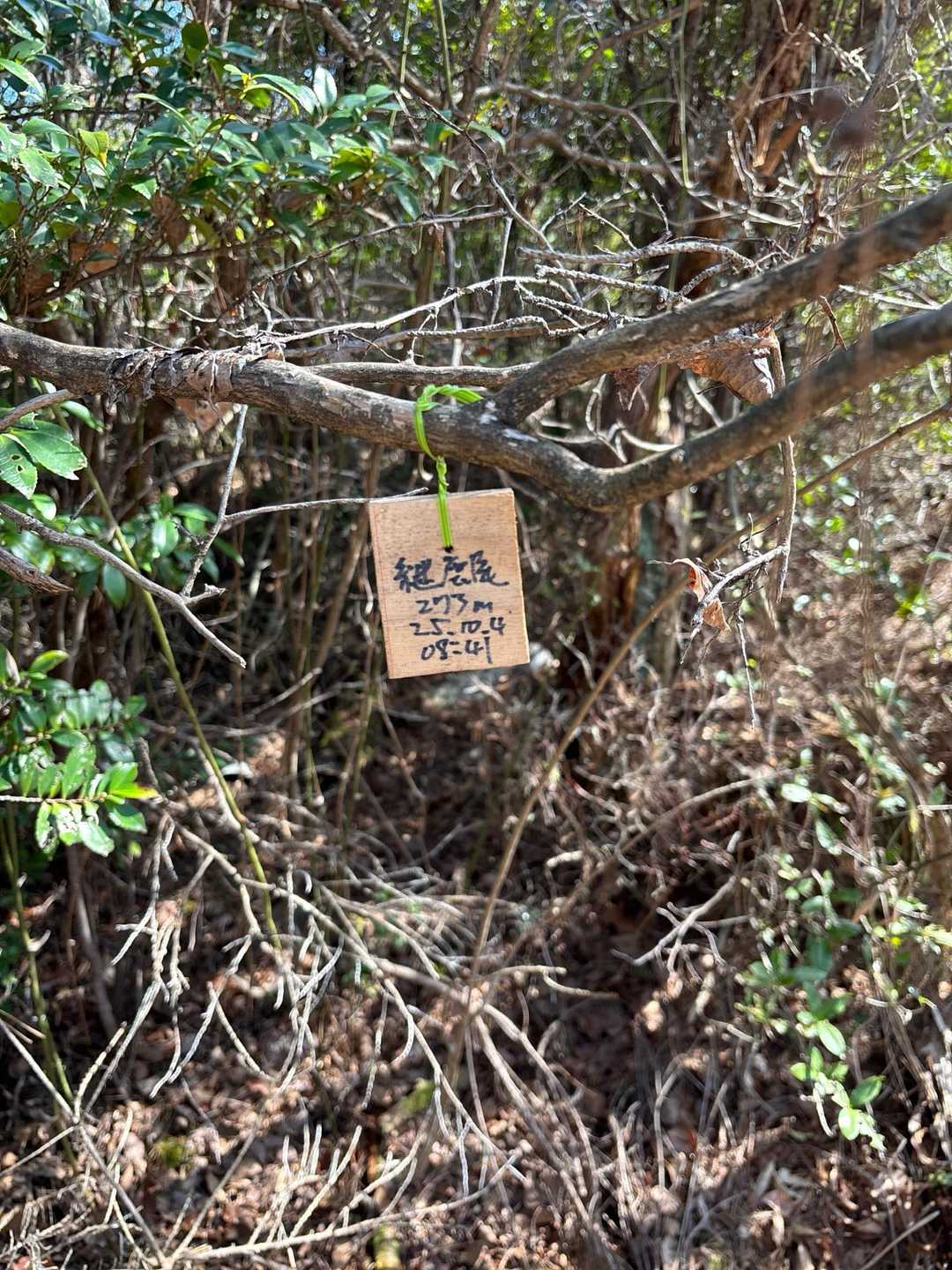 継鹿尾山 往復コースの写真