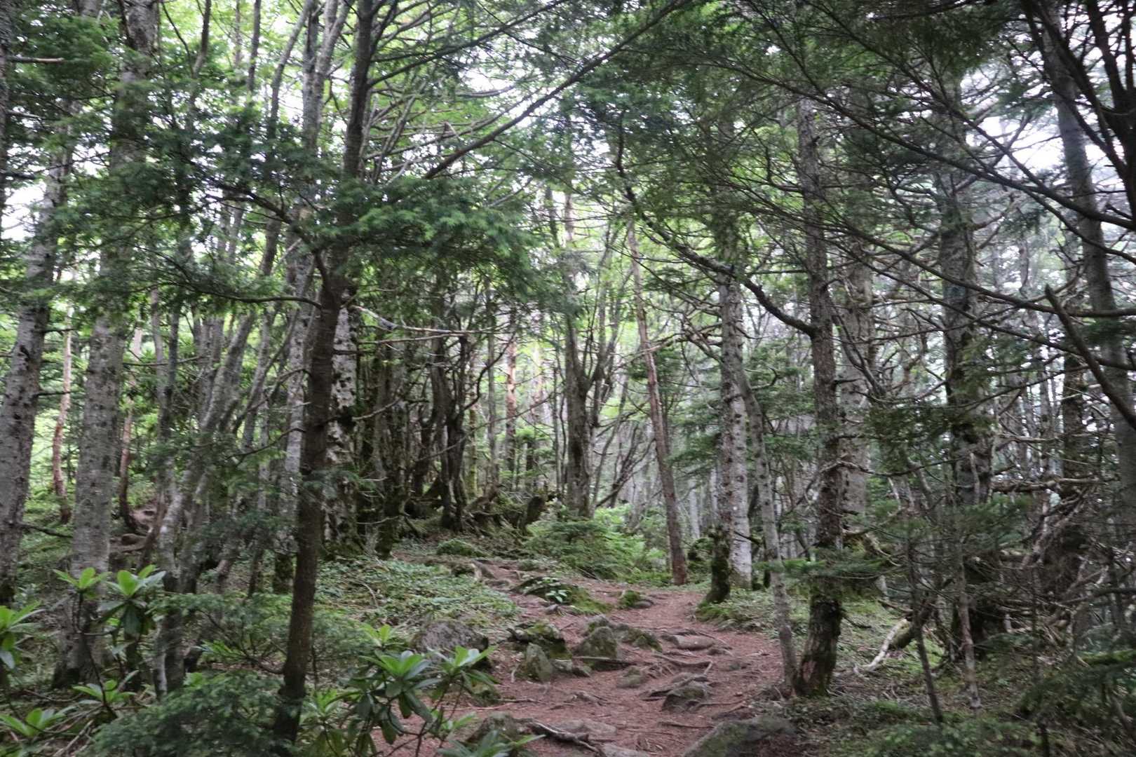 まだ空が明るくて、天気持ちそうと思ったのもつかの間…