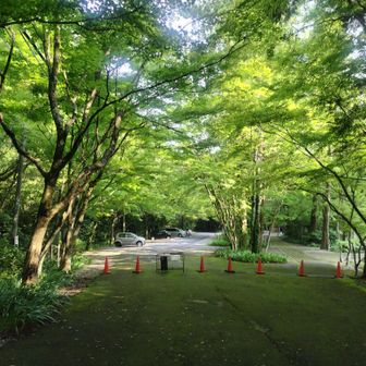 🅿️に🐸りました

さて、急いで家に戻るとまだ1号の🚙は無いので、間にあったと相方さんに言うと

ああ～間違えた　来週だったみたい…との事😱
今回の山行　何なん？😭

今日も全身びしょ濡れに絞ったので我慢した🍺飲みます😆

最後に一句

痛風に　その一本が　命取り🤣

ありがとうございました🙏