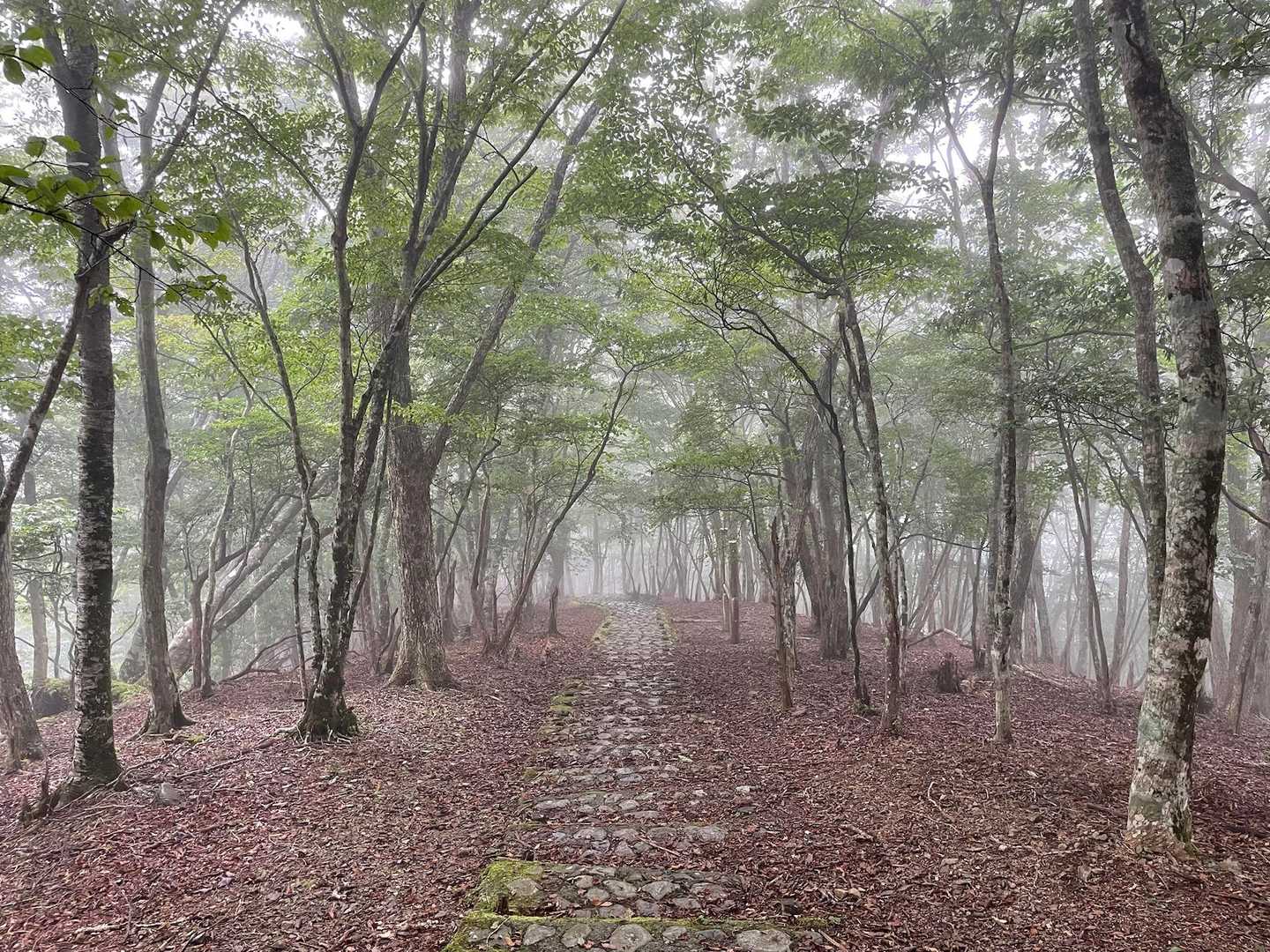 奥辺路🚶