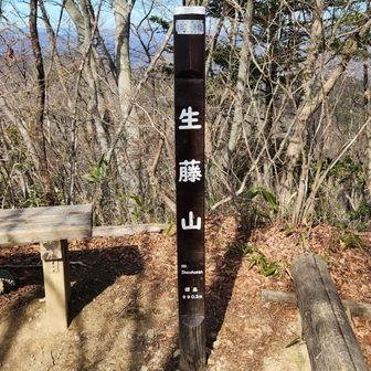 三国山から直ぐのところにある生藤山(990m)
山頂直下は岩がごつごつして、登りも下りも厳しいです。
写真は東京都が管理している山頂標識
