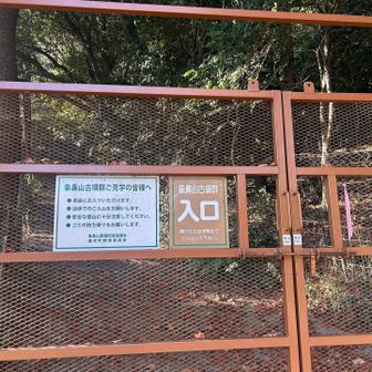 こちらの入口からスタートします🚶