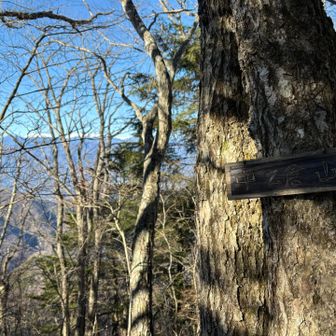 樹木に囲まれ展望のない中ノ倉山山頂。山名板だけ撮って先に進みます