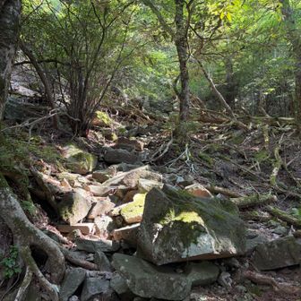 ひゃー😵
あんま覚えてない..