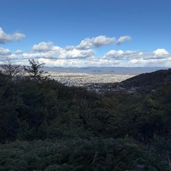 さっきまでの雪は止んだね
きよみずさん(清水寺)越しの京都市内を一望
愛宕山と、左大文字、船形、妙法が見えましたよ
