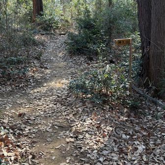 神久山はここを左へ