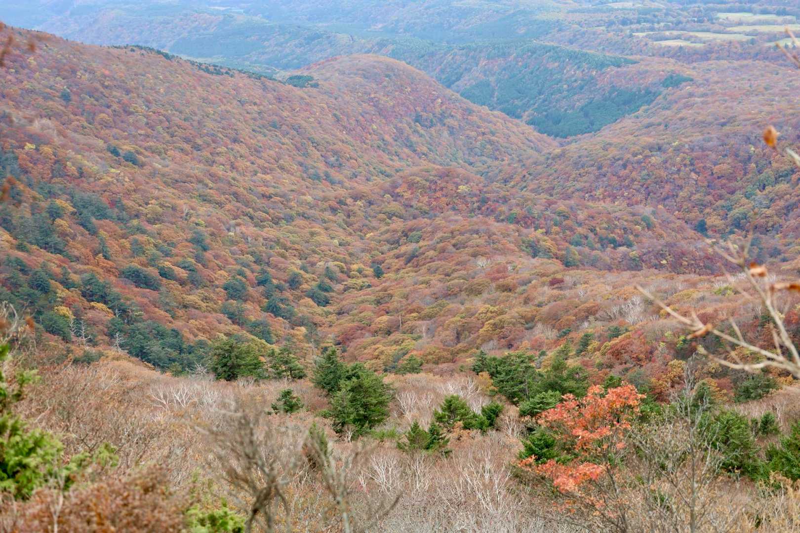 下山開始🥾
登山道は紅葉は終わりでしたが、眼下は紅葉🍁