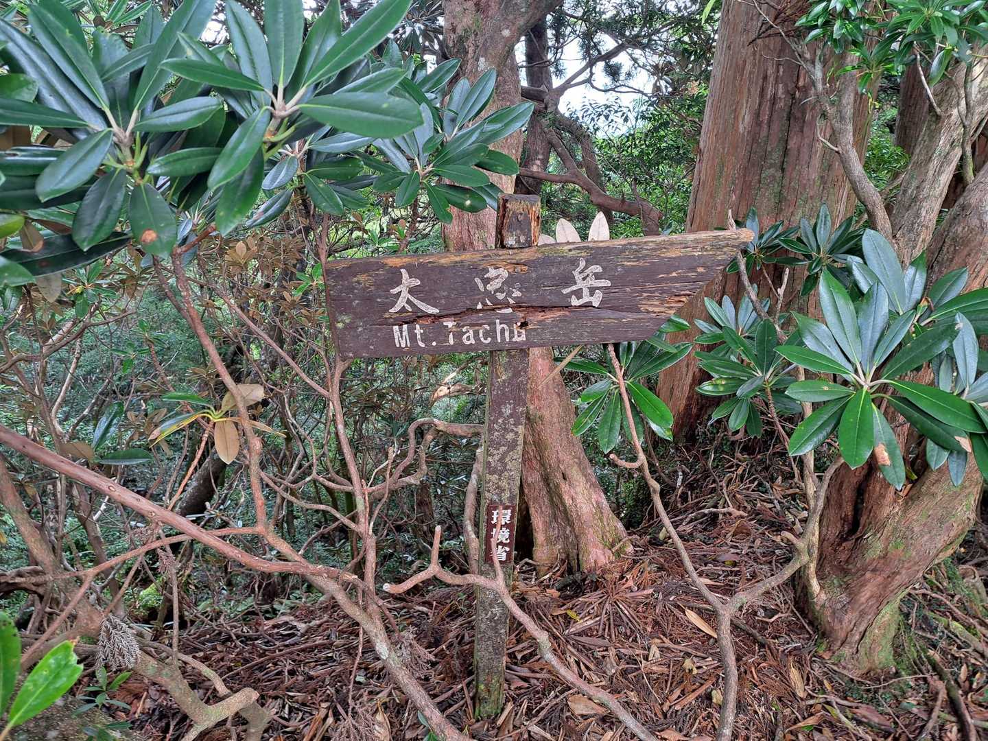山頂ではない