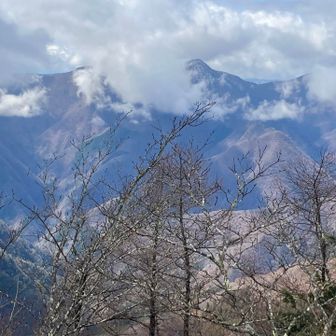 天目山から蕎麦粒山方面？だったかな