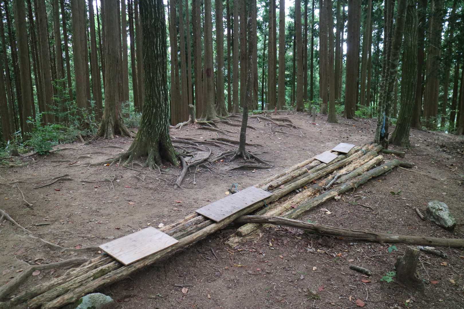 ババ谷でも行ってみる？
