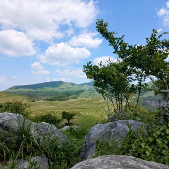 大かんの台▲433m　ここで🍙休憩