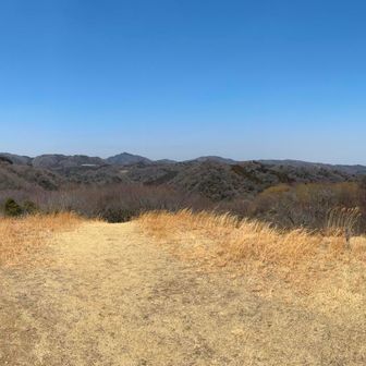 アルプス一望です✨️
右手から左手にずーっと歩いてきたんですね⛰️⛰️