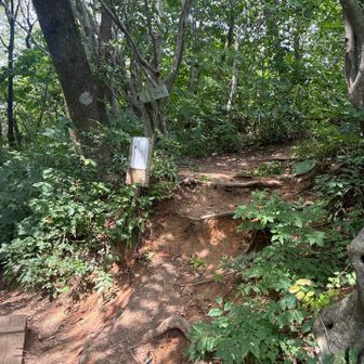 ここから桜尾根コースへ