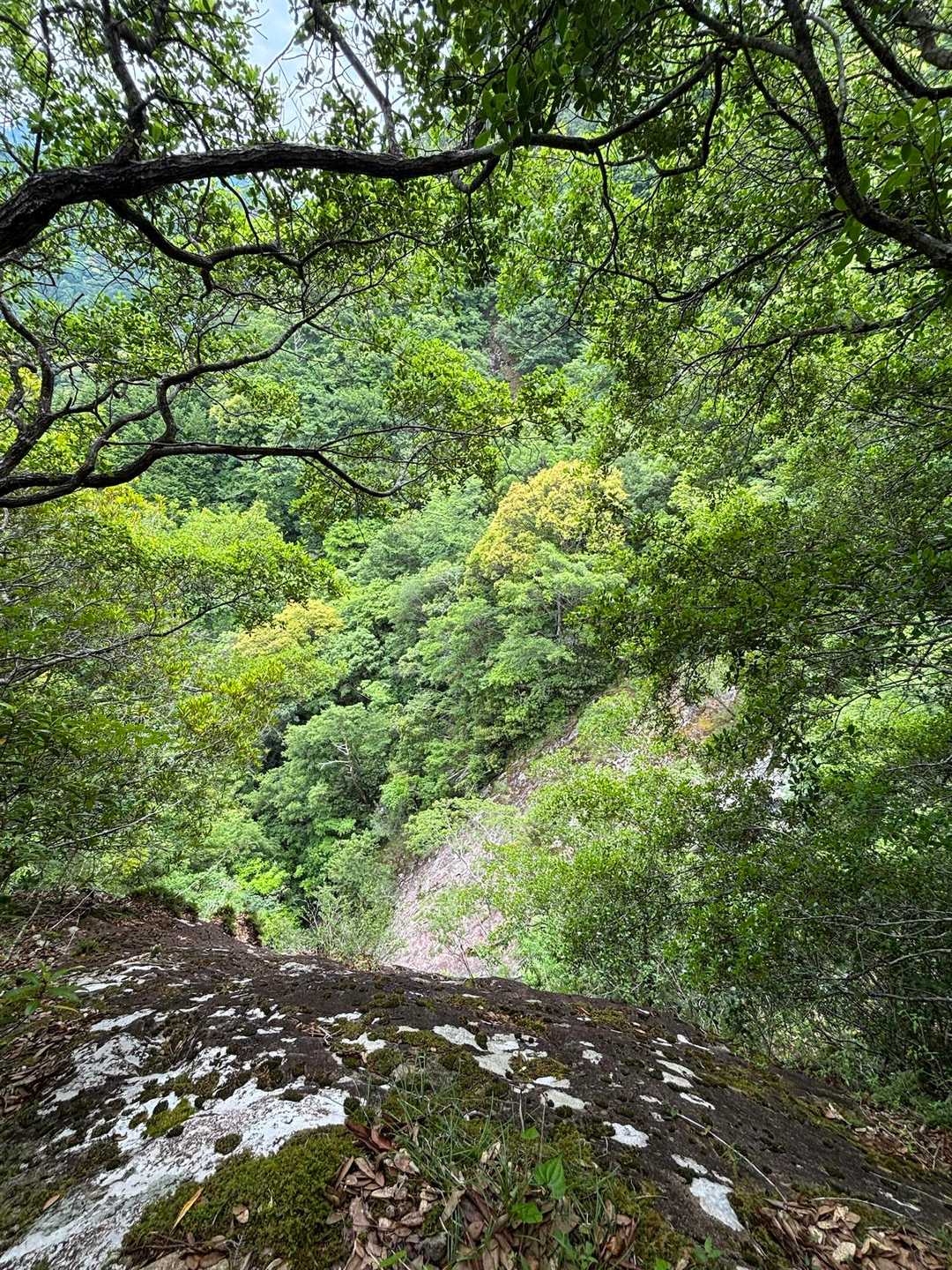嶽ノ森山登り口-嶽ノ森山-嶽ノ森山登り口 縦走コースの写真